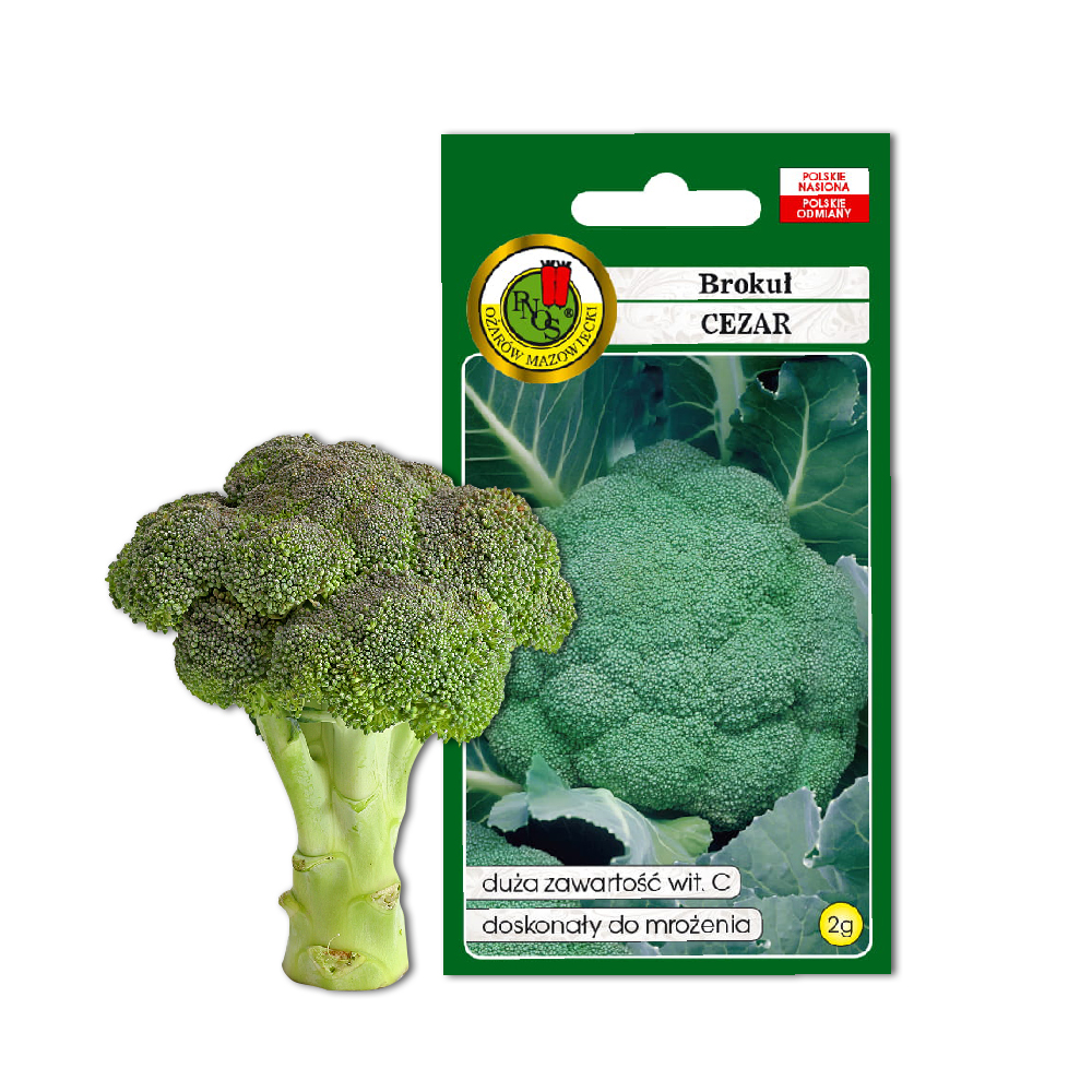 PNOS Caesar Broccoli Vegetable Seeds, 2g Pack