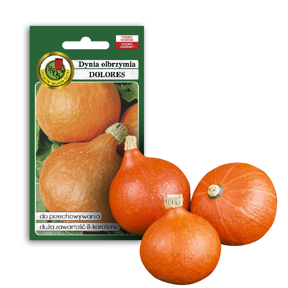 PNOS Giant Pumpkin Dolores Vegetable Seeds, 5g Packaging