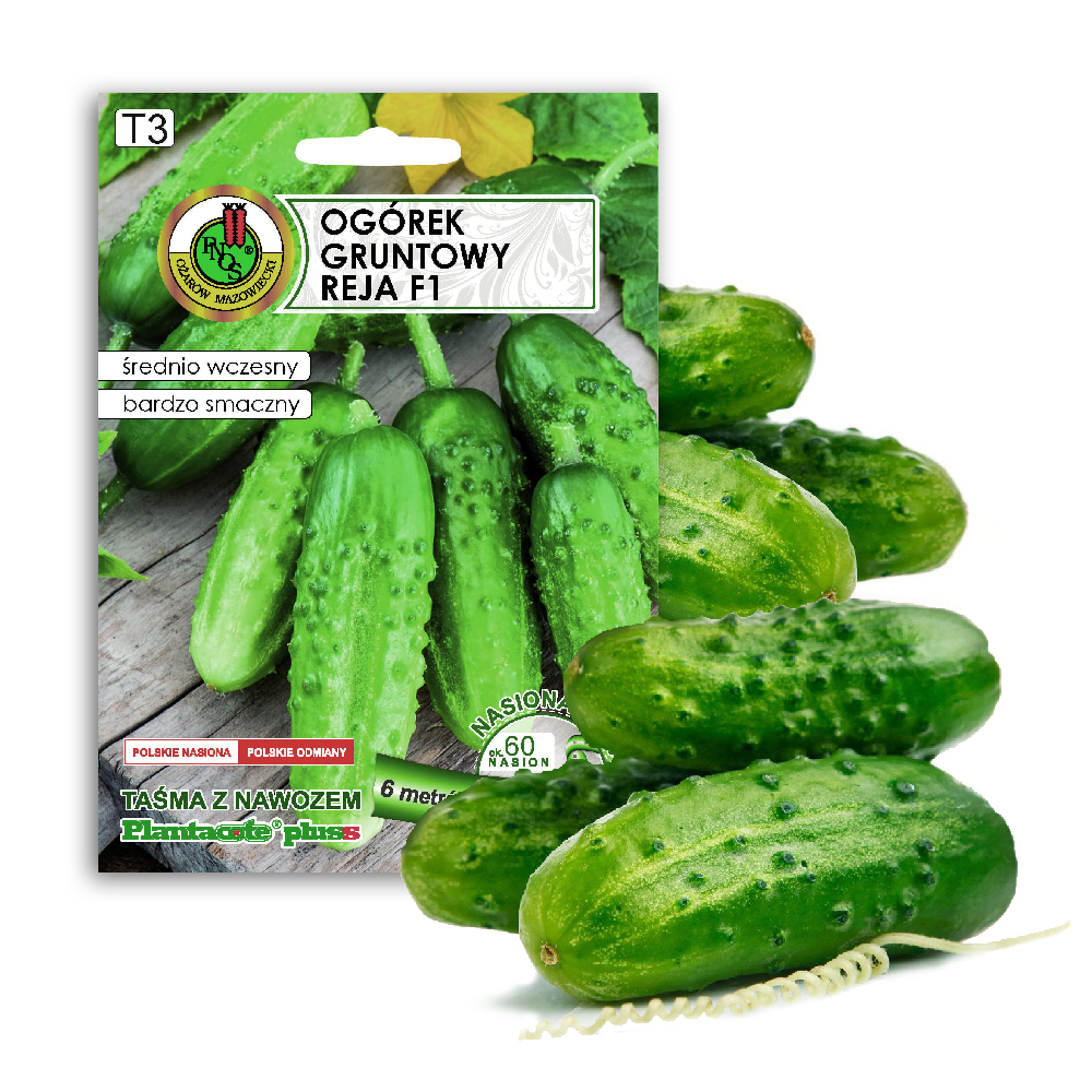 PNOS Ground Cucumber Reja F1 Seeds on Tape, 6m Tape